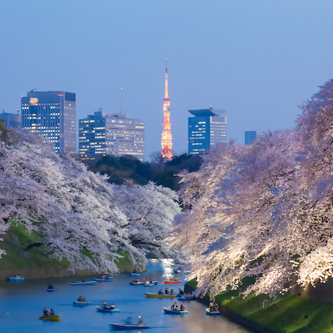 How These Hotels in Japan are Celebrating Cherry Blossom Season